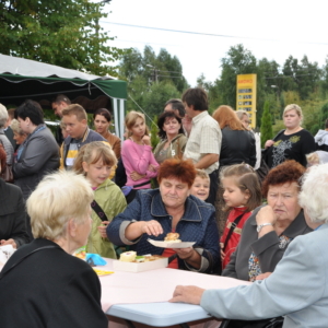 V_Festyn_Rodzinny_01.09.2013_097